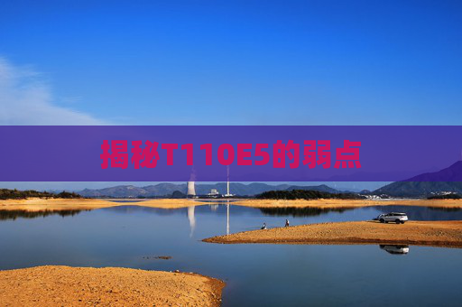 揭秘T110E5的弱点