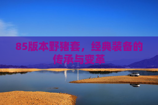85版本野猪套，经典装备的传承与变革