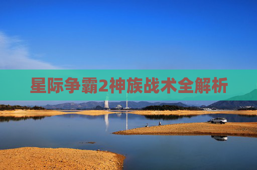 星际争霸2神族战术全解析 星际争霸2神族战术全解析