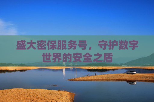 盛大密保服务号，守护数字世界的安全之盾