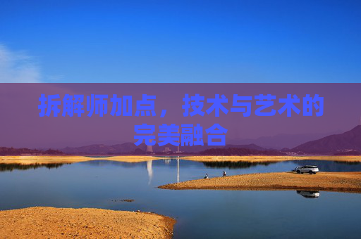 拆解师加点,技术与艺术的完美融合 拆解师加点,技术与艺术的完美融合
