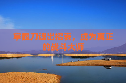 掌握刀魂出招表,成为真正的战斗大师 掌握刀魂出招表,成为真正的战斗大师