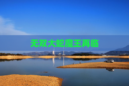 无双大蛇魔王再临