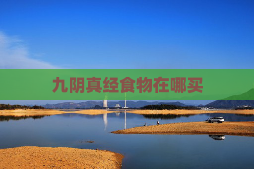 九阴真经食物在哪买 九阴真经食物在哪买