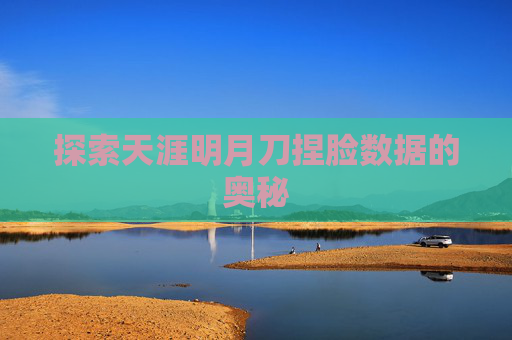 探索天涯明月刀捏脸数据的奥秘