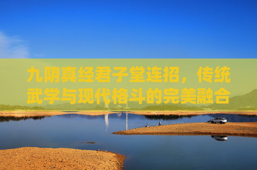 九阴真经君子堂连招，传统武学与现代格斗的完美融合