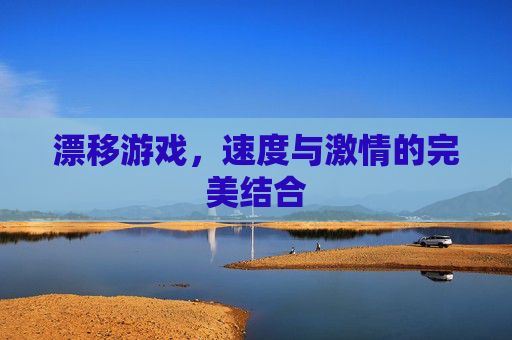 漂移游戏，速度与激情的完美结合