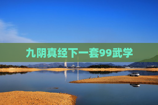 九阴真经下一套99武学