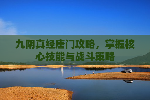 九阴真经唐门攻略，掌握核心技能与战斗策略