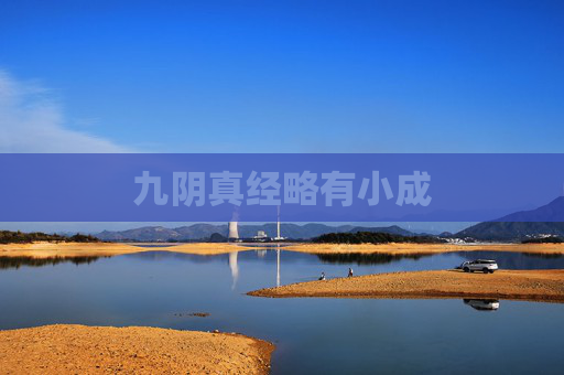九阴真经略有小成