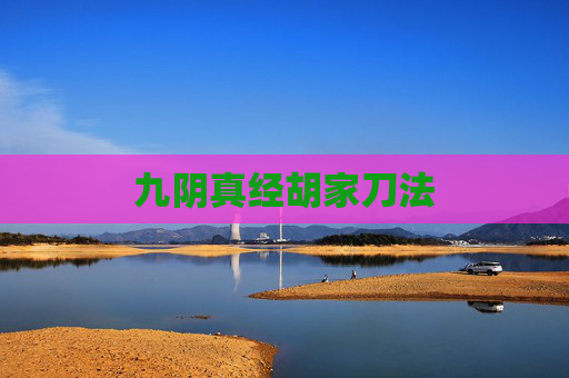 九阴真经胡家刀法