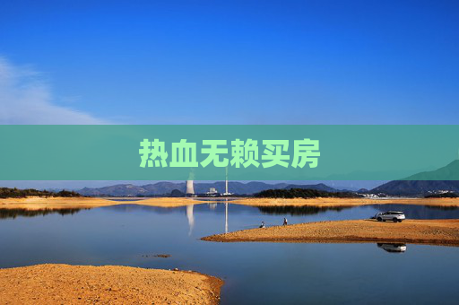 热血无赖买房 热血无赖买房