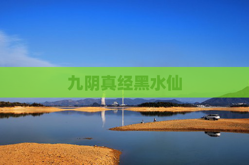 九阴真经黑水仙