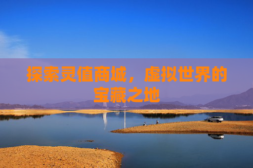 探索灵值商城，虚拟世界的宝藏之地