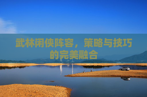 武林闲侠阵容，策略与技巧的完美融合