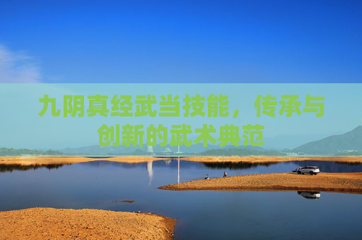 九阴真经武当技能，传承与创新的武术典范