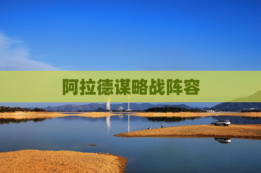 阿拉德谋略战阵容