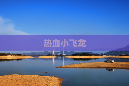 热血小飞龙