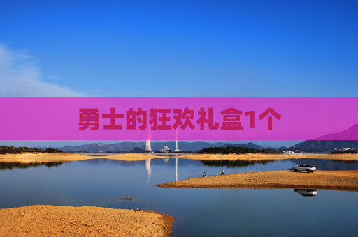勇士的狂欢礼盒1个 勇士的狂欢礼盒1个
