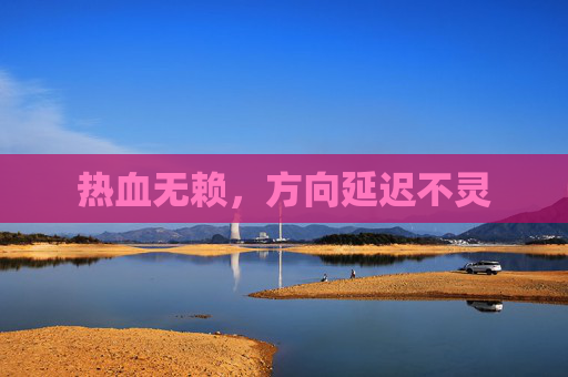 热血无赖，方向延迟不灵