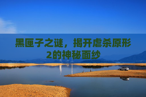 黑匣子之谜，揭开虐杀原形2的神秘面纱