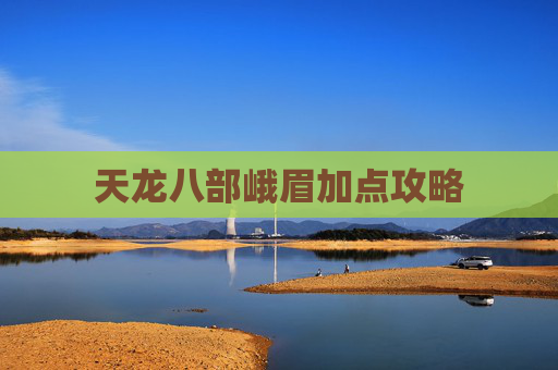 天龙八部峨眉加点攻略