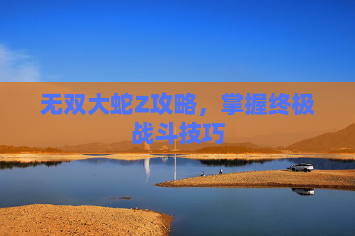 无双大蛇Z攻略，掌握终极战斗技巧