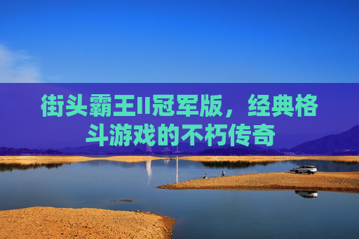 街头霸王II冠军版,经典格斗游戏的不朽传奇 街头霸王II冠军版,经典格斗游戏的不朽传奇