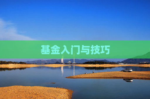 基金入门与技巧