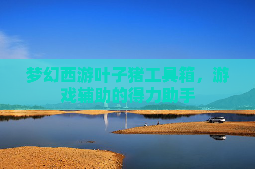 梦幻西游叶子猪工具箱，游戏辅助的得力助手
