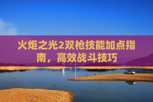 火炬之光2双枪技能加点指南，高效战斗技巧