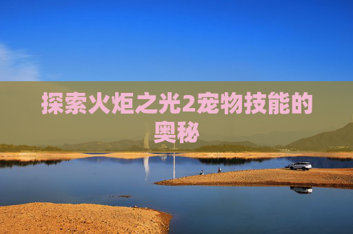 探索火炬之光2宠物技能的奥秘