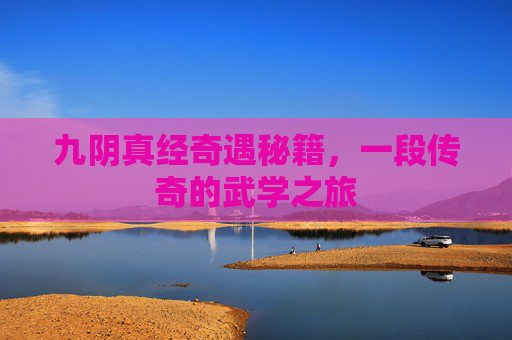 九阴真经奇遇秘籍，一段传奇的武学之旅