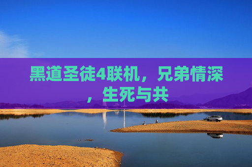 黑道圣徒4联机，兄弟情深，生死与共