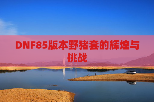 DNF85版本野猪套的辉煌与挑战