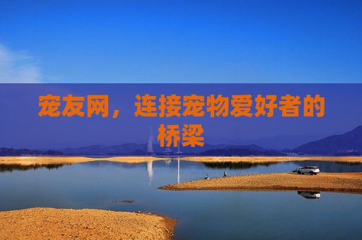 宠友网，连接宠物爱好者的桥梁