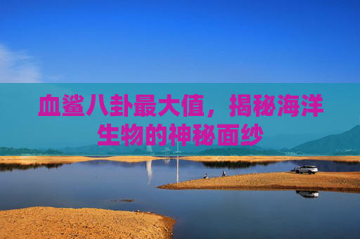 血鲨八卦最大值，揭秘海洋生物的神秘面纱