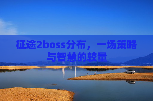 征途2boss分布，一场策略与智慧的较量