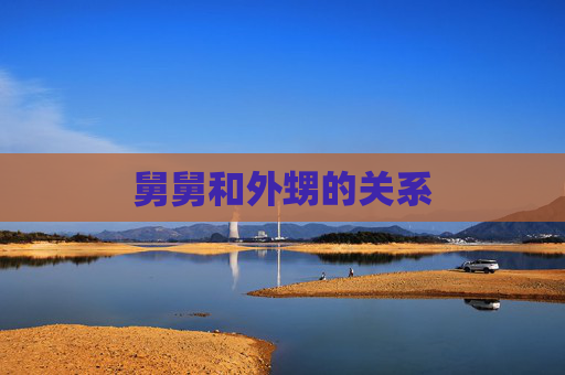 舅舅和外甥的关系