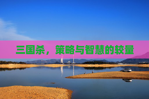 三国杀，策略与智慧的较量