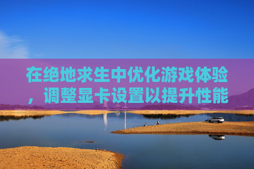 在绝地求生中优化游戏体验，调整显卡设置以提升性能