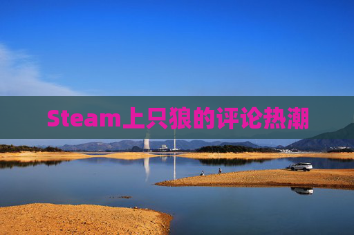 Steam上只狼的评论热潮