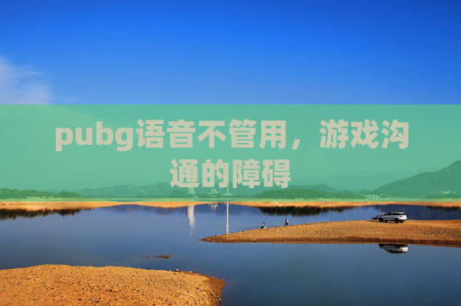 pubg语音不管用，游戏沟通的障碍