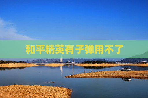 和平精英有子弹用不了 和平精英有子弹用不了