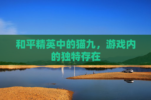 和平精英中的猫九，游戏内的独特存在