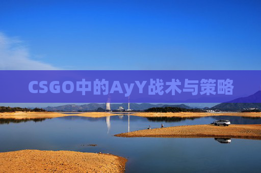 CSGO中的AyY战术与策略