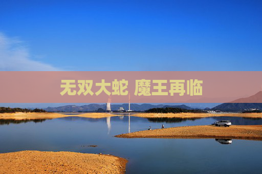无双大蛇 魔王再临 无双大蛇 魔王再临