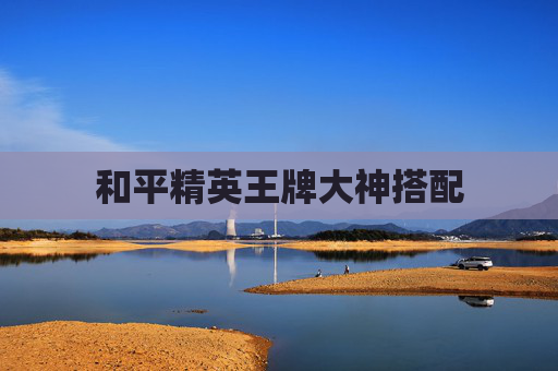 和平精英王牌大神搭配