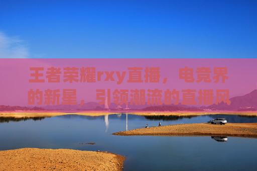 王者荣耀rxy直播，电竞界的新星，引领潮流的直播风向标