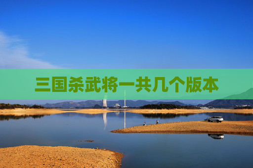 三国杀武将一共几个版本 三国杀武将一共几个版本